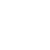 icon-1